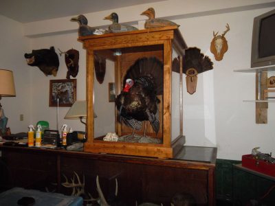 Display case-turkey