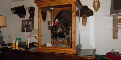 Display-case-turkey